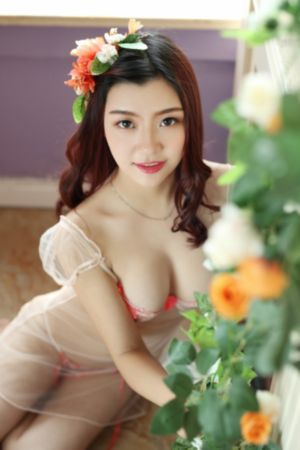 寡妇在线观看_BD英语视频大全