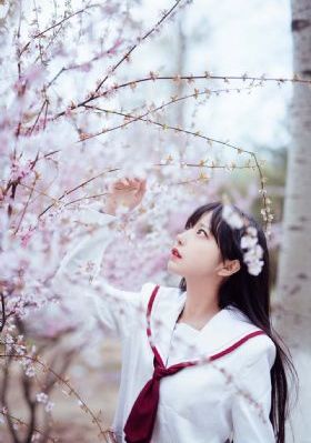 亲密搭档电视剧免费观看全集_720在线观看完整版